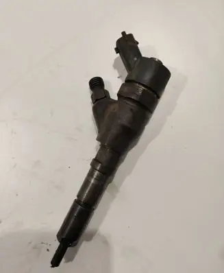 Peugeot 407 Fuel injector 0445110076