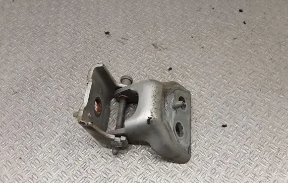 Front door lower hinge