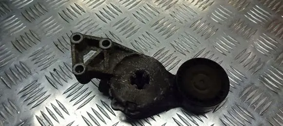 Skoda Octavia Mk2 (1Z) Alternator belt tensioner pulley 06A903315F