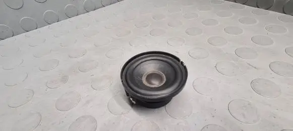 Panel speaker