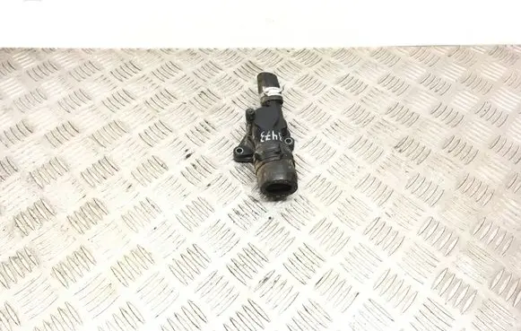 Renault Twingo II Thermostat/thermostat housing 8200660882