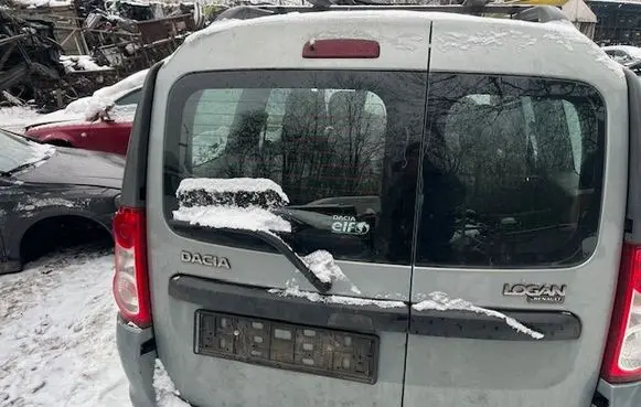 Dacia Logan I Back/rear loading door 