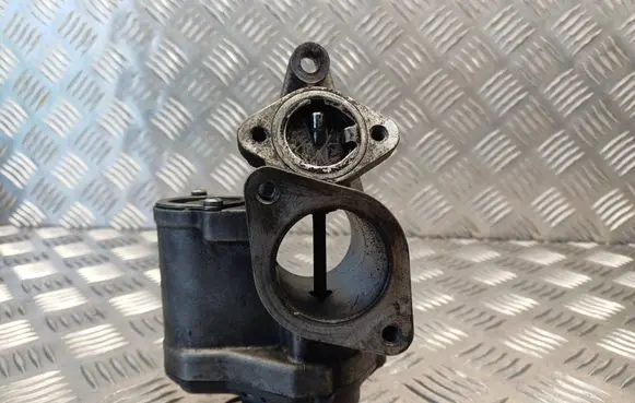 Suzuki Grand Vitara II EGR valve 8200507299B H8200194323