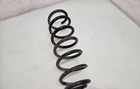 Rear coil spring