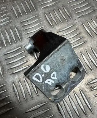 Fiat 500X Rear door lower hinge