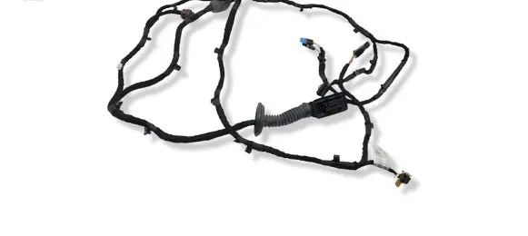 BMW 2 G42 Front door wiring loom 5A30261