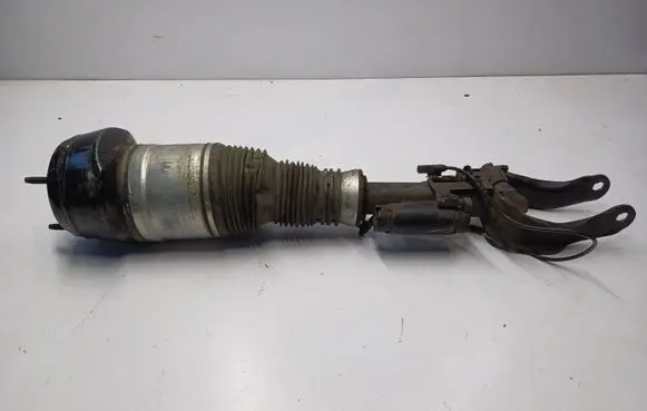 Mercedes-Benz GLE (W166 - C292) Front shock absorber/damper A2923200300