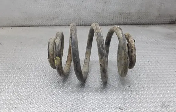 Rear coil spring