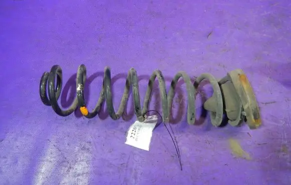 Renault Megane II Rear coil spring