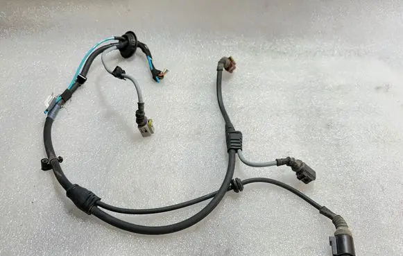 Other wiring loom