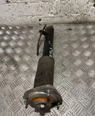 BMW X5 E70 Rear shock absorber/damper 6781931
