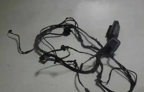 BMW 5 GT F07 Rear door wiring loom 9210135