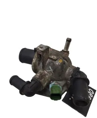 Thermostat/thermostat housing
