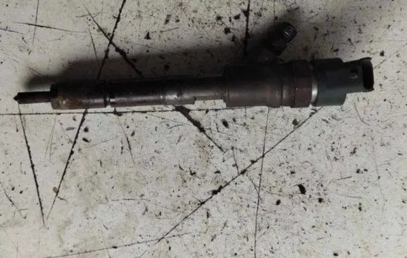 Citroen C5 Fuel injector 0445110062
