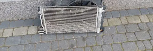 Seat Ibiza IV (6J,6P) Radiator set 