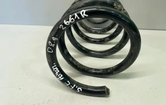 Hyundai Santa Fe Rear coil spring