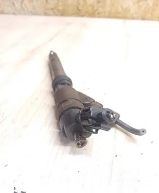 Fiat Ducato Fuel injector 0445120011