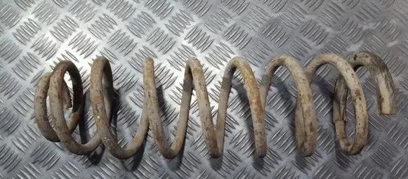 Peugeot Expert Rear coil spring