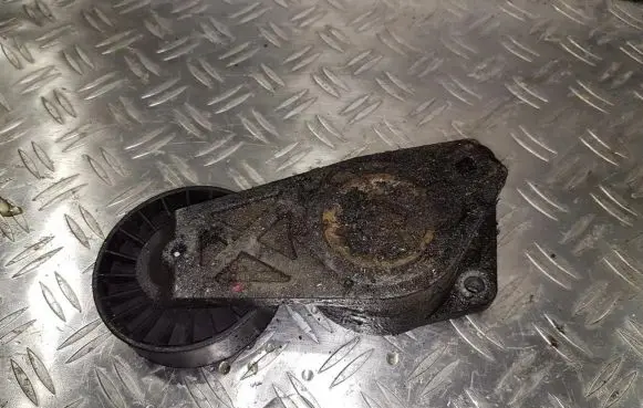 Peugeot 306 Generator/alternator belt tensioner