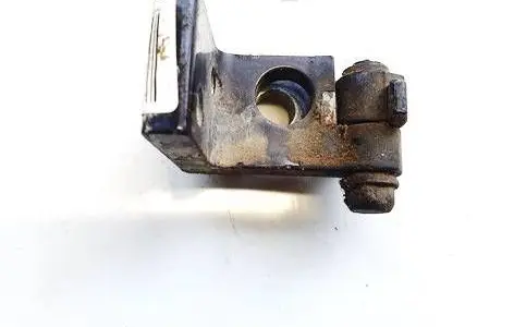Rear door lower hinge