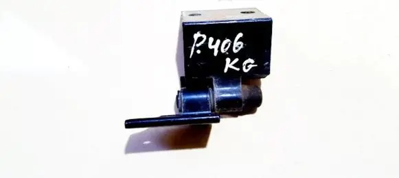 Peugeot 406 Rear door lower hinge