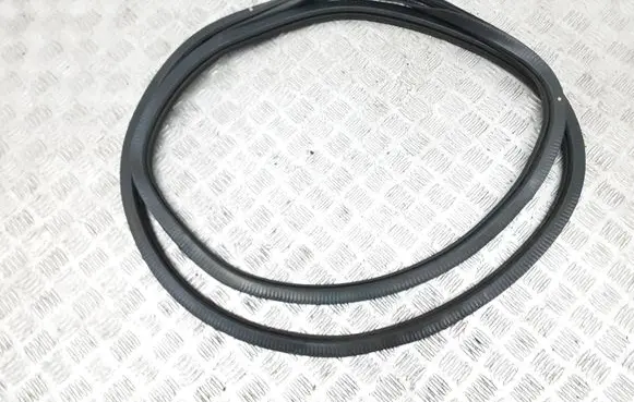 Chrysler Pacifica Front door rubber seal 