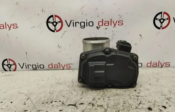 Throttle body valve