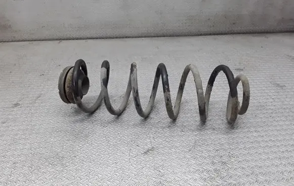 Volkswagen Golf IV Rear coil spring