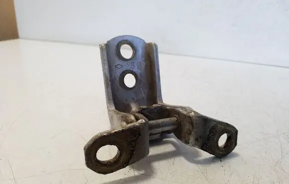 Rear door lower hinge
