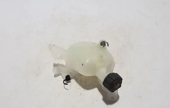 Renault Kangoo III Coolant expansion tank/reservoir 929A02725R