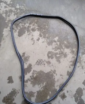 Nissan Micra K14 Rear door rubber seal (on body) 