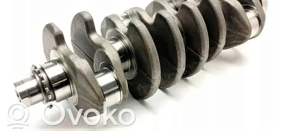 Volkswagen Transporter - Caravelle T6 Crankshaft BRS