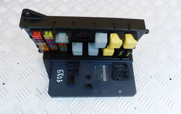 Mercedes-Benz Sprinter W906 SAM control unit A9069006803 A9069022001