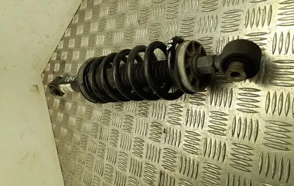 Citroen DS7 Crossback Rear shock absorber/damper 9829356780
