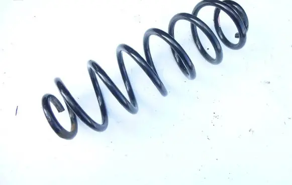 Rear coil spring