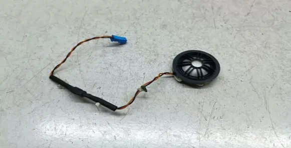 Front door high frequency speaker