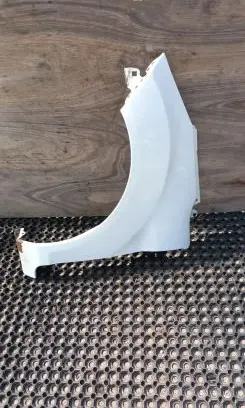 Ford Fiesta Fender