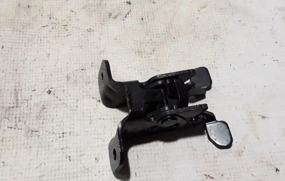 Renault Kangoo III Loading door check strap stopper 824302977R