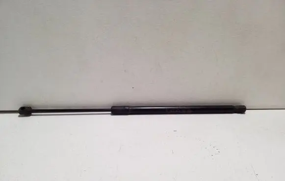Tailgate/trunk strut/damper