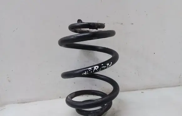 Rear coil spring