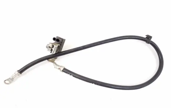 Mercedes-Benz CL C216 Negative earth cable (battery) A1665420518