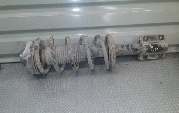 Citroen Jumper Front shock absorber with coil spring 