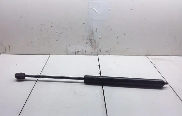 Front bonnet/hood damper/strut