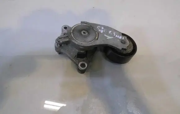 Citroen C3 Timing belt tensioner 
