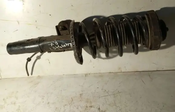 Skoda Roomster (5J) Front shock absorber/damper
