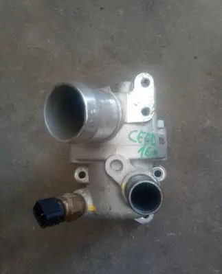 Thermostat/thermostat housing