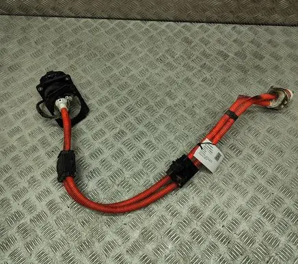Nissan Leaf II (ZE1) Other wiring loom 296B15SN1A