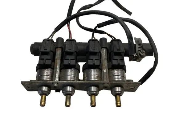Volkswagen Phaeton LP gas injector 67R016409 E10R006410