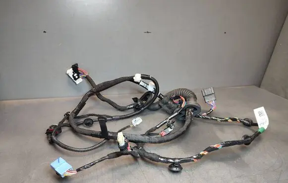 Tesla Model 3 Highland Front door wiring loom 189732102B