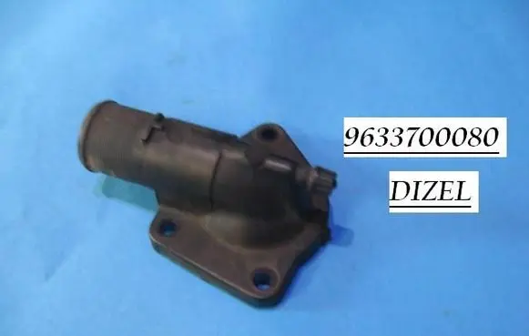 Thermostat/thermostat housing